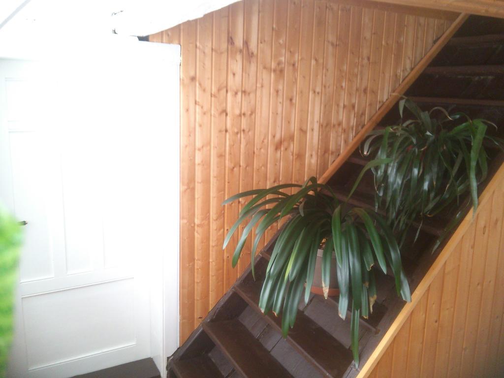 Apartman 141 Chřibská Rom bilde